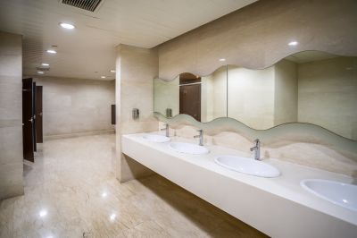 Luxurious Bathroom with Quartz Countertop
